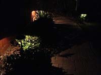 Landscape Lighting