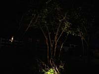 Landscape Lighting